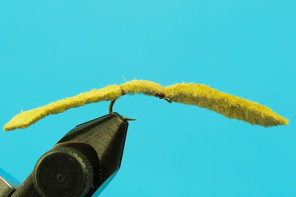 Chamois "Shammy" Worm