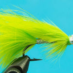 Coho Comet