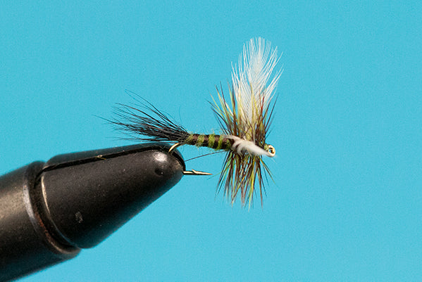 Colorado Green Drake  - Mayfly Dry Fly