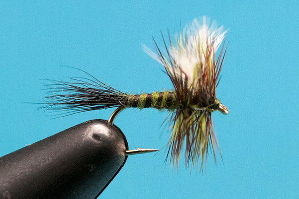 Colorado Green Drake  - Mayfly Dry Fly