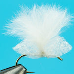 Cottonwood Seed