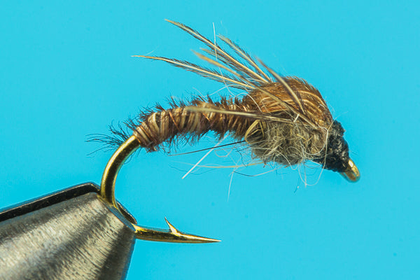 Cove's Pheasant Tail