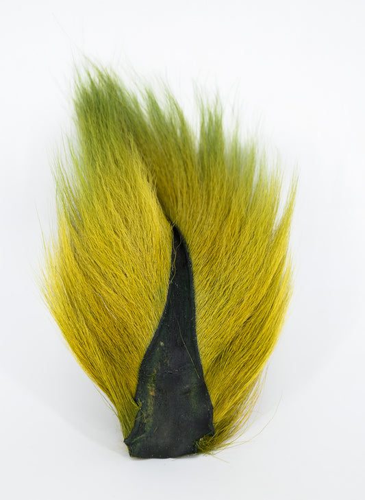 Appalachian Bucktail