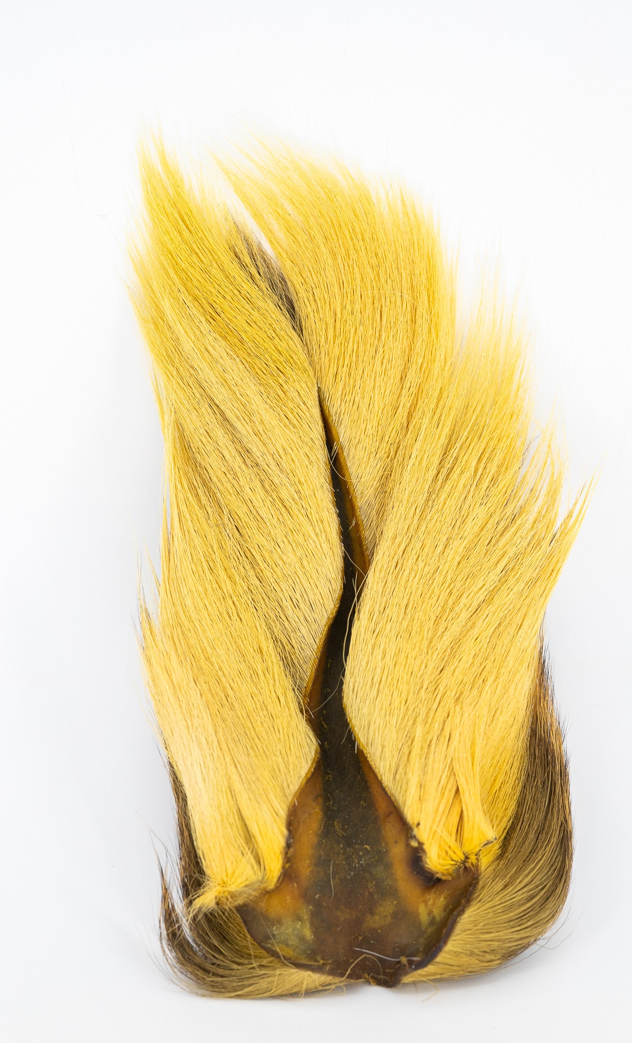 Appalachian Bucktail