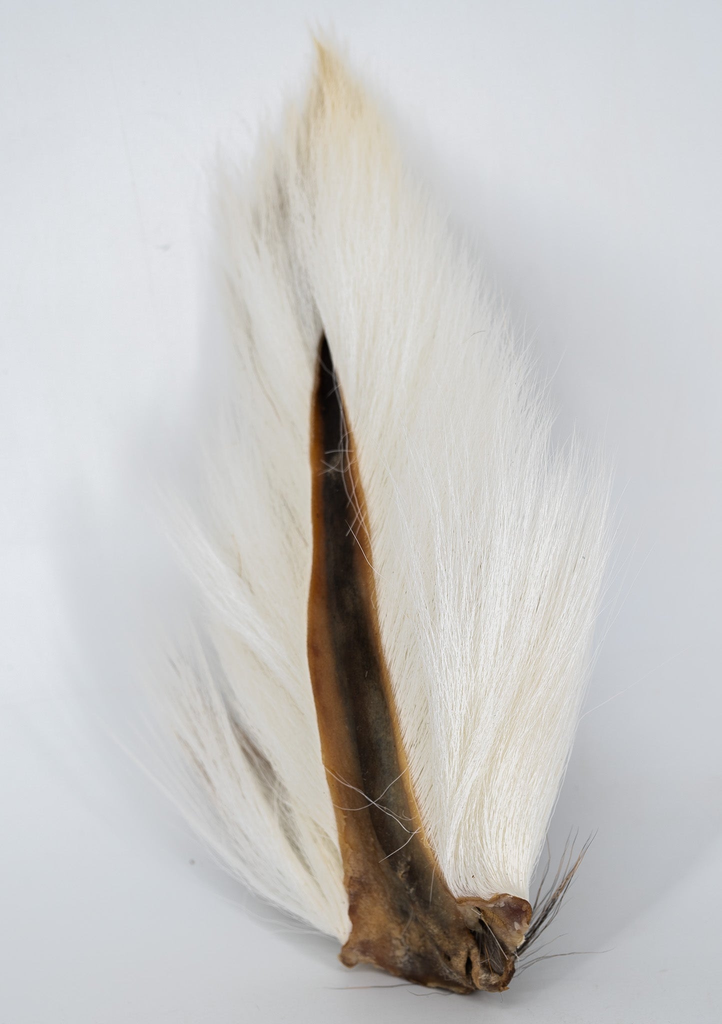 Appalachian Bucktail