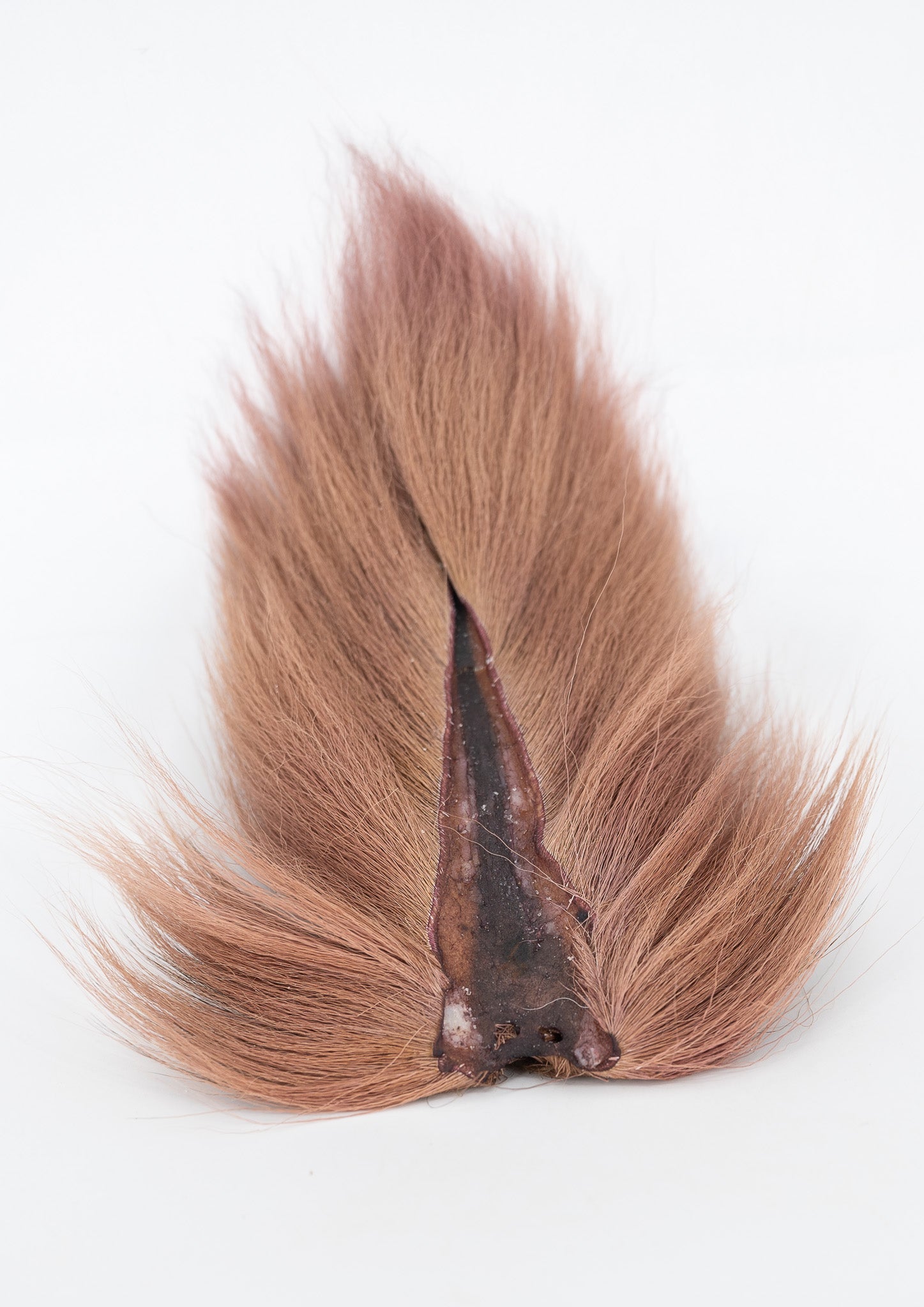 Appalachian Bucktail