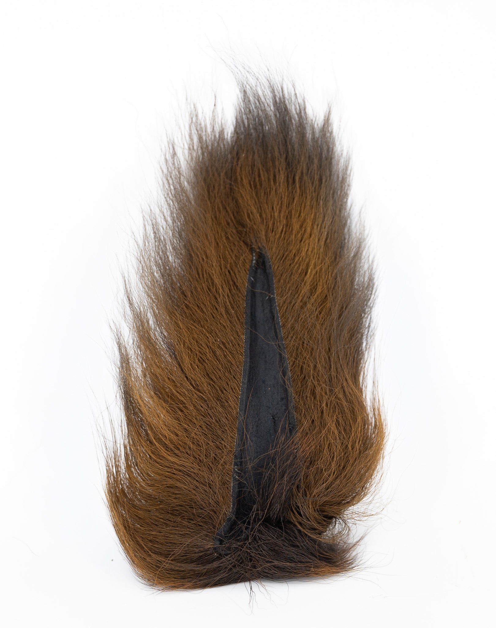 Appalachian Bucktail