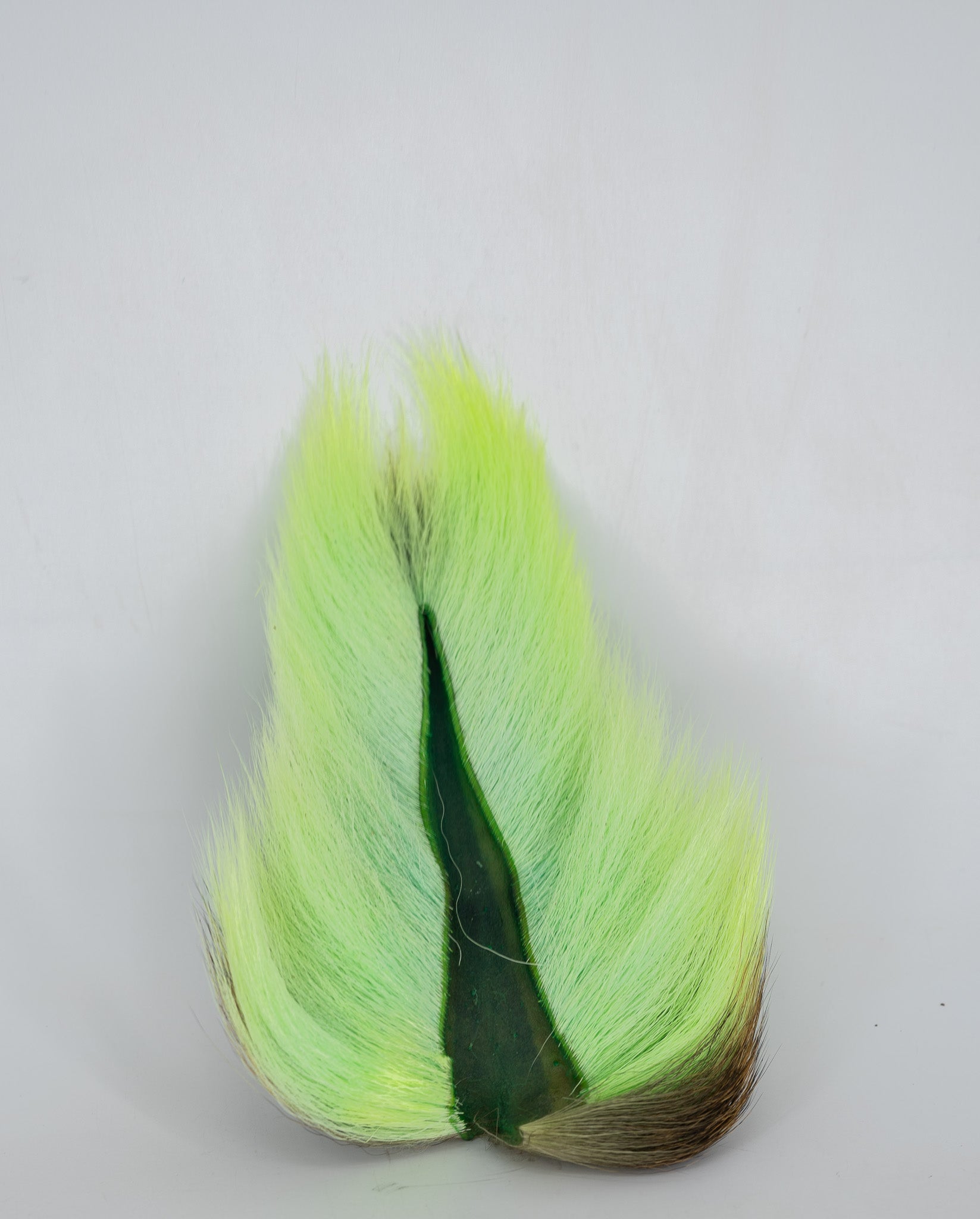 Appalachian Bucktail