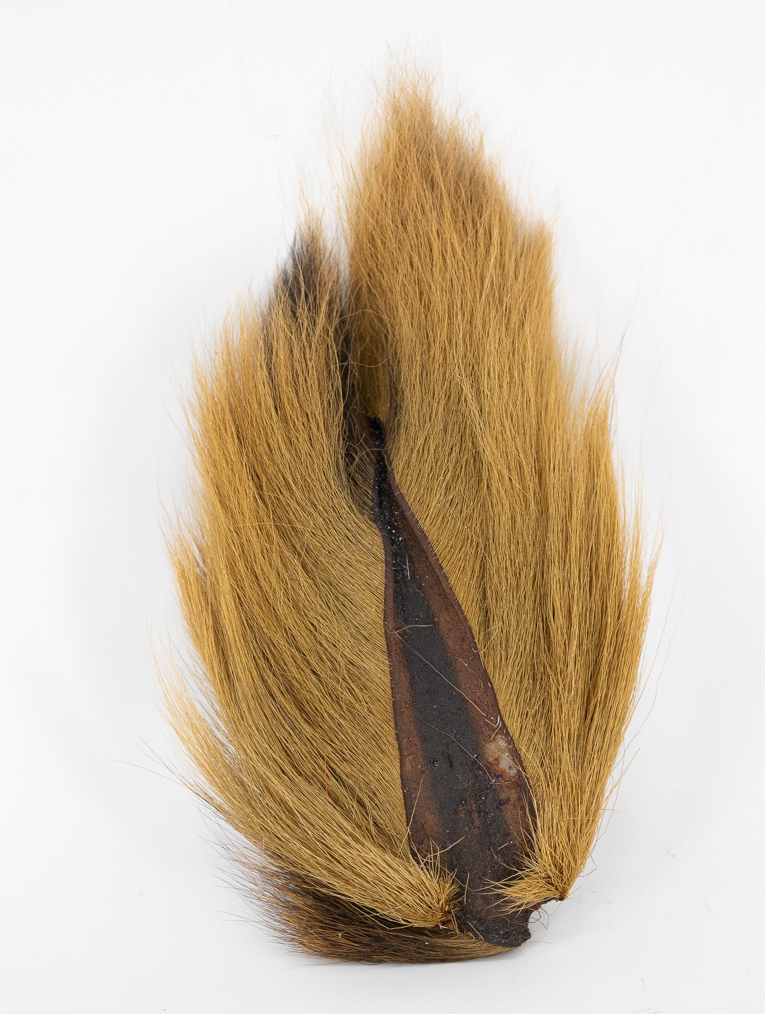 Appalachian Bucktail
