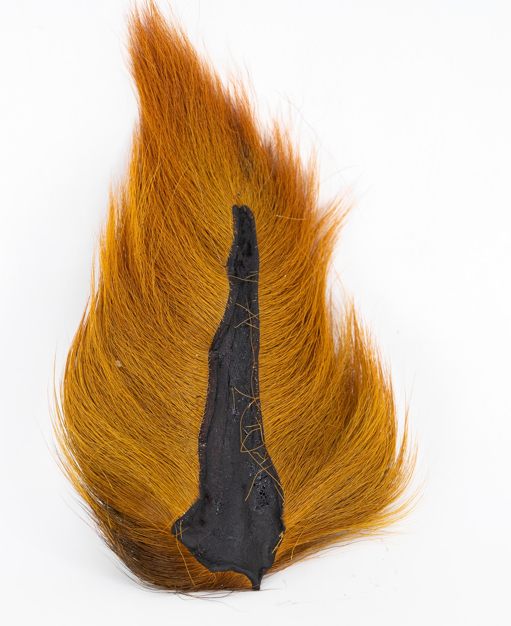 Appalachian Bucktail