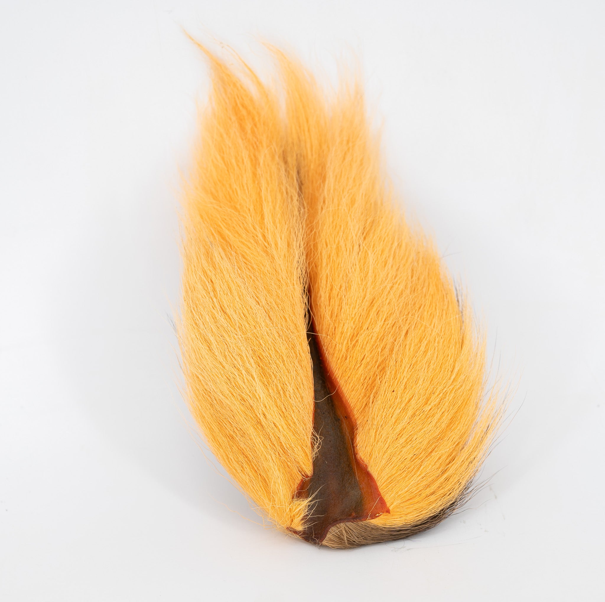Appalachian Bucktail
