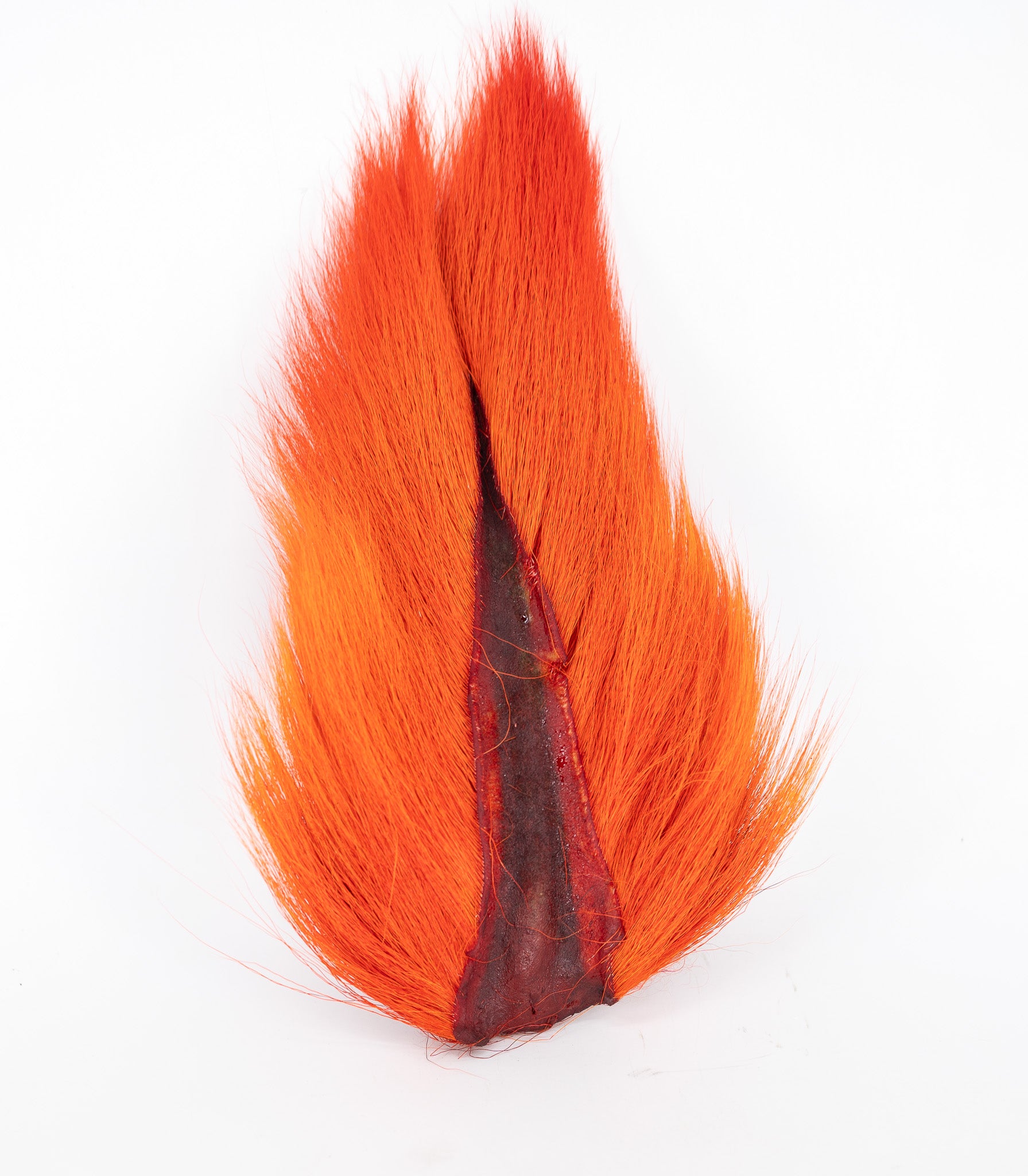 Appalachian Bucktail