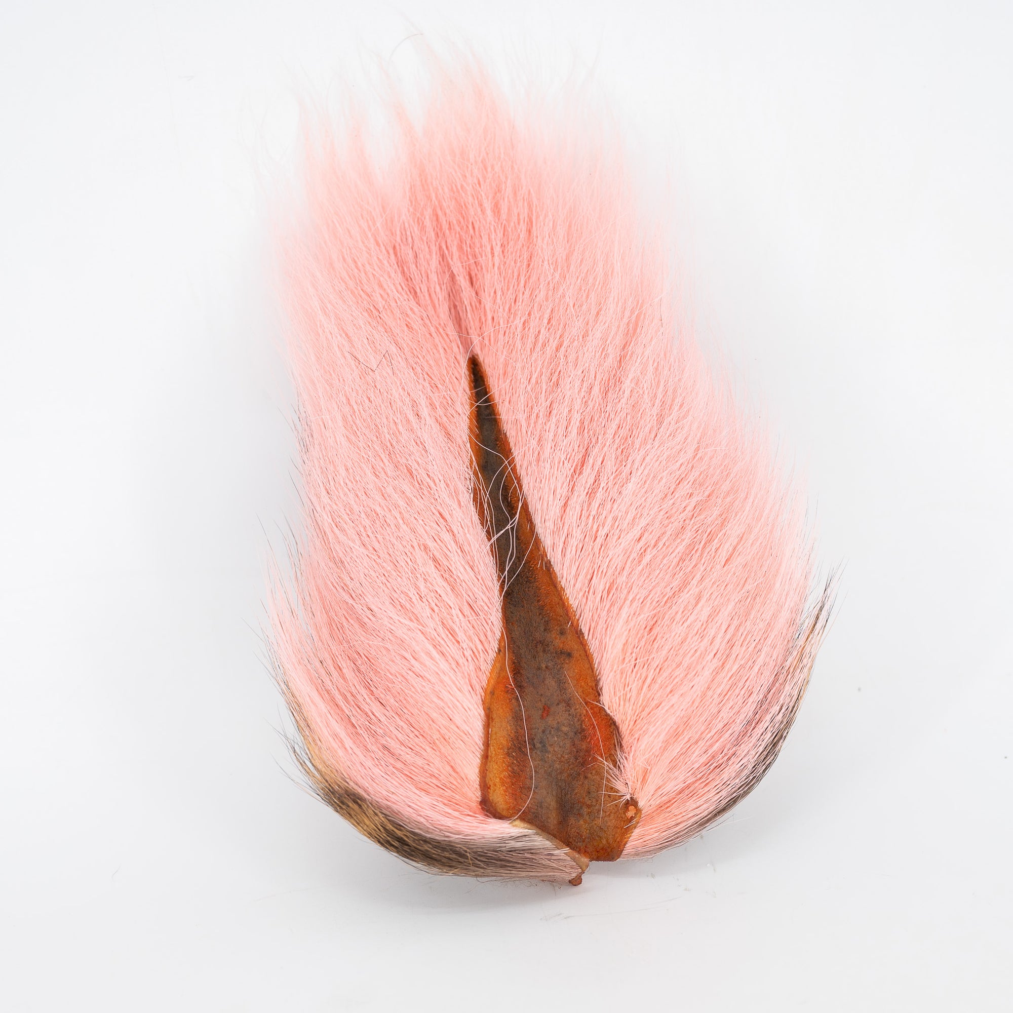 Appalachian Bucktail
