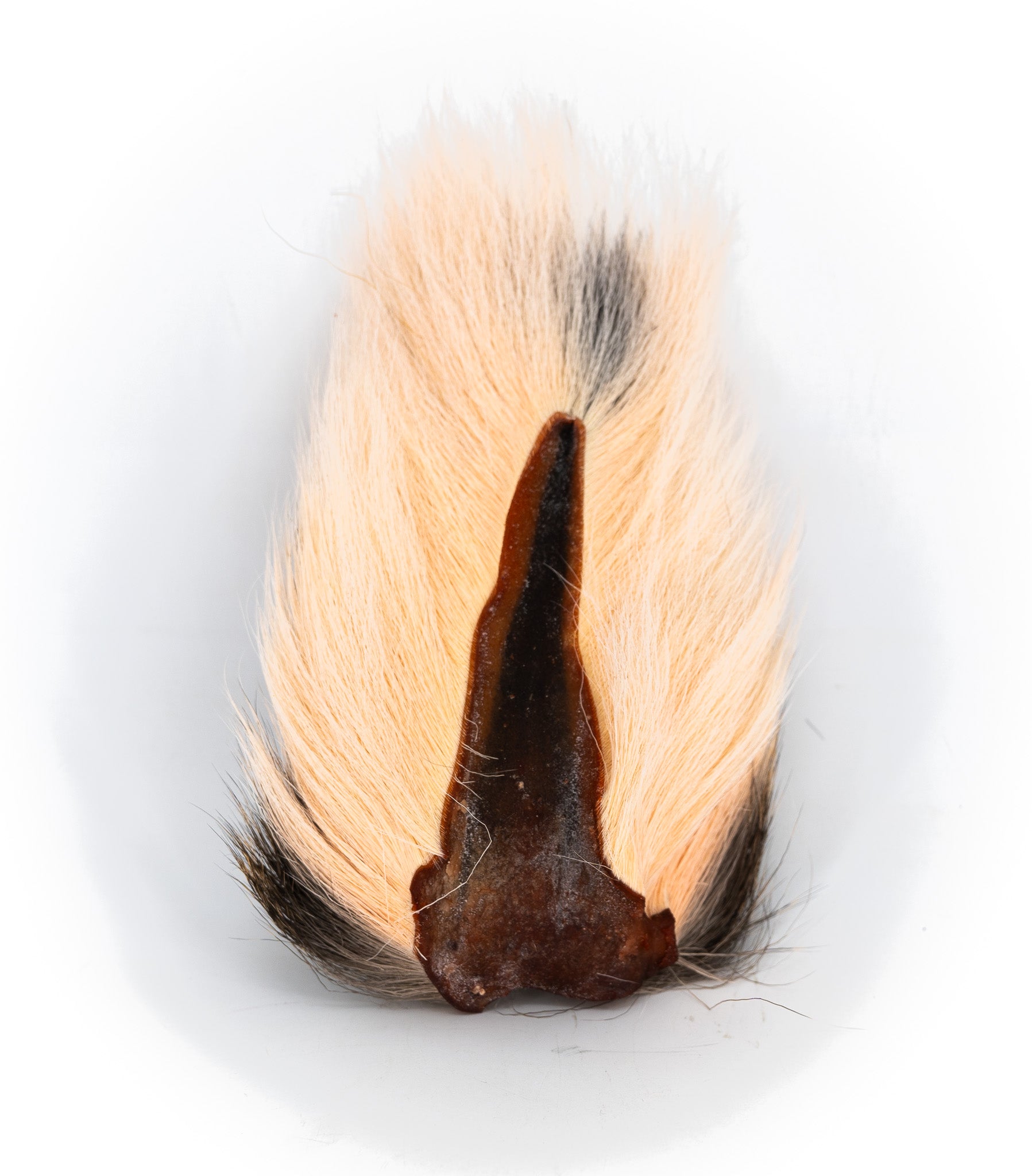 Appalachian Bucktail