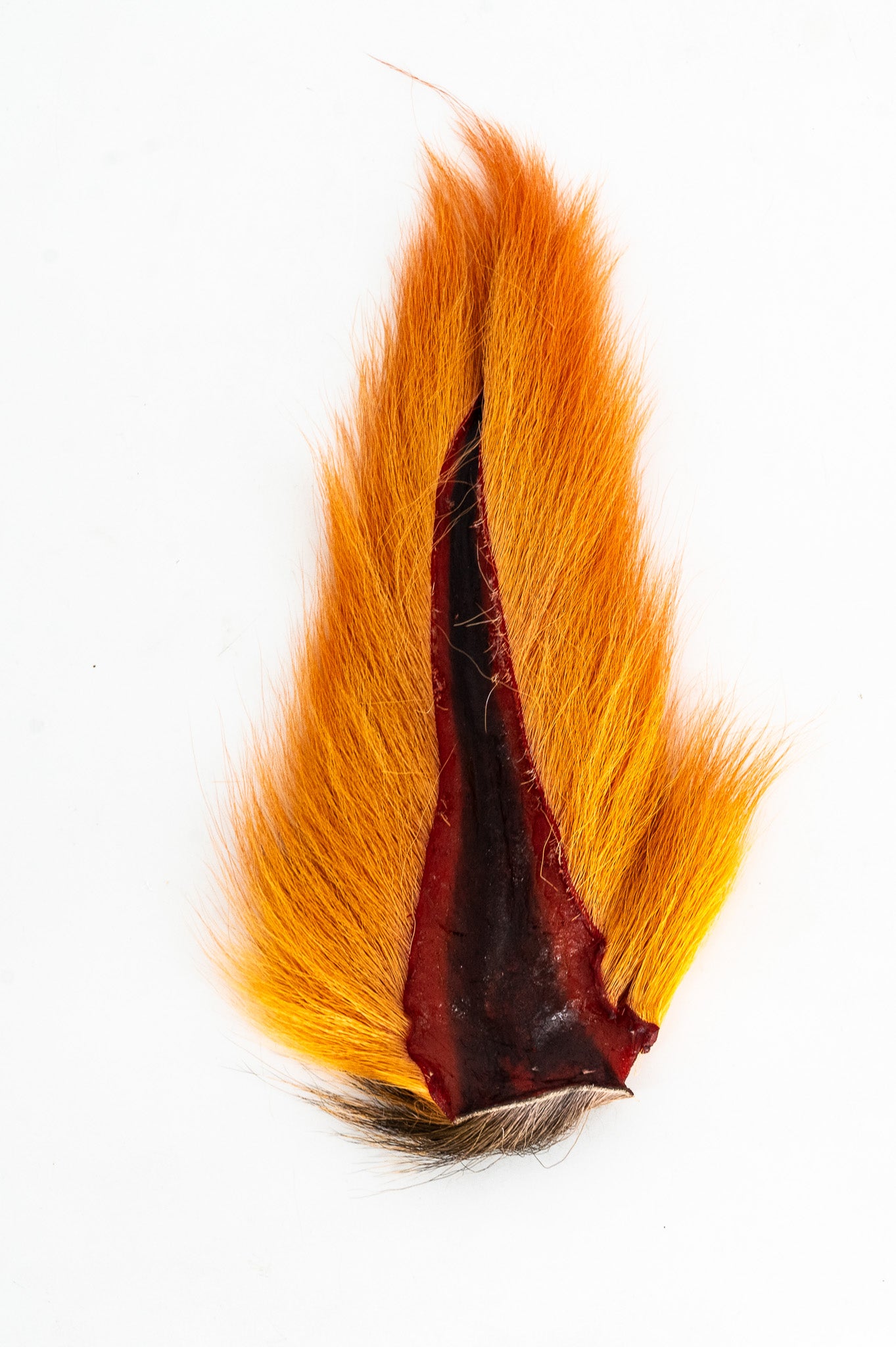 Appalachian Bucktail