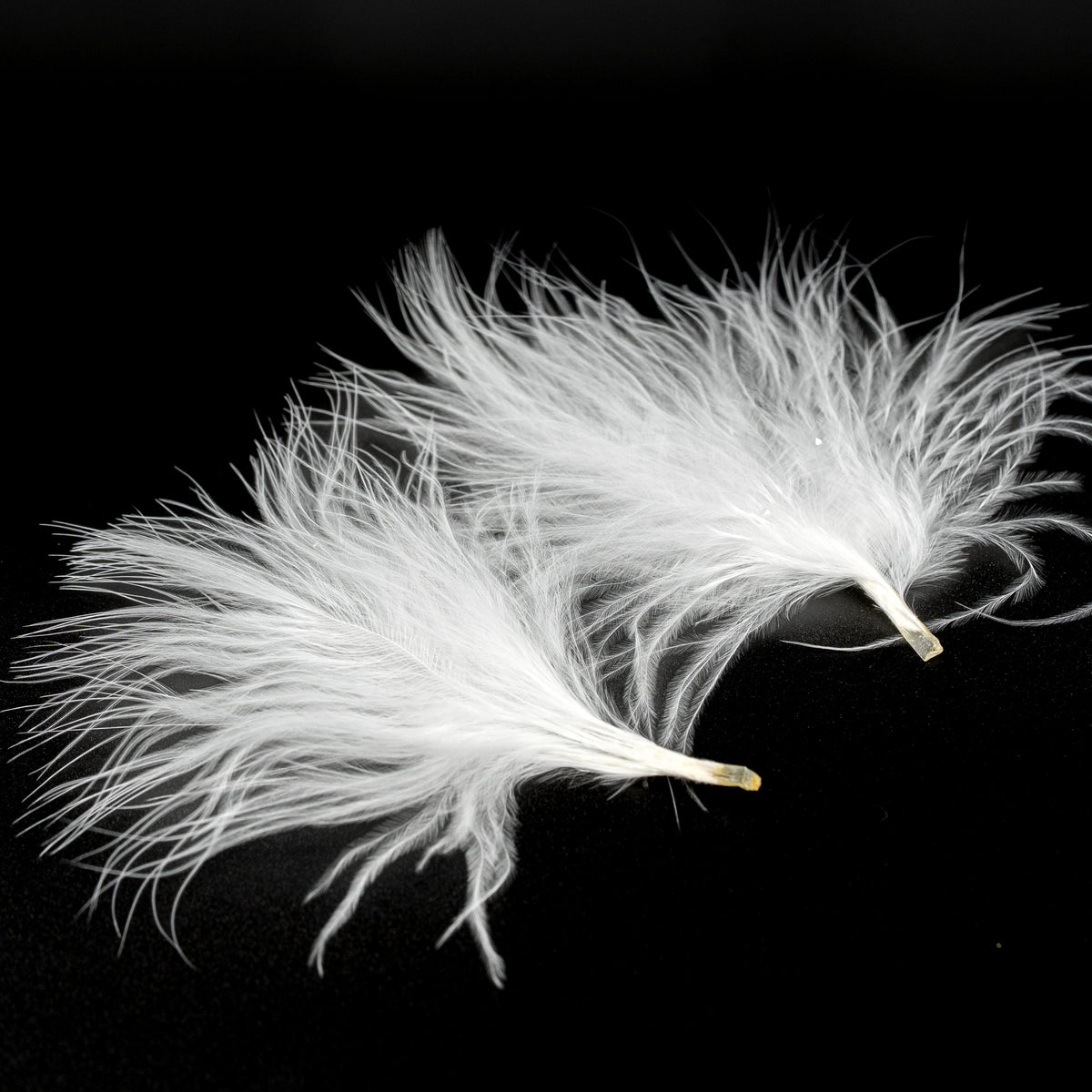 Finatics Premium Loose Marabou – 3" to 5" Plumes- Finatics Fly Company