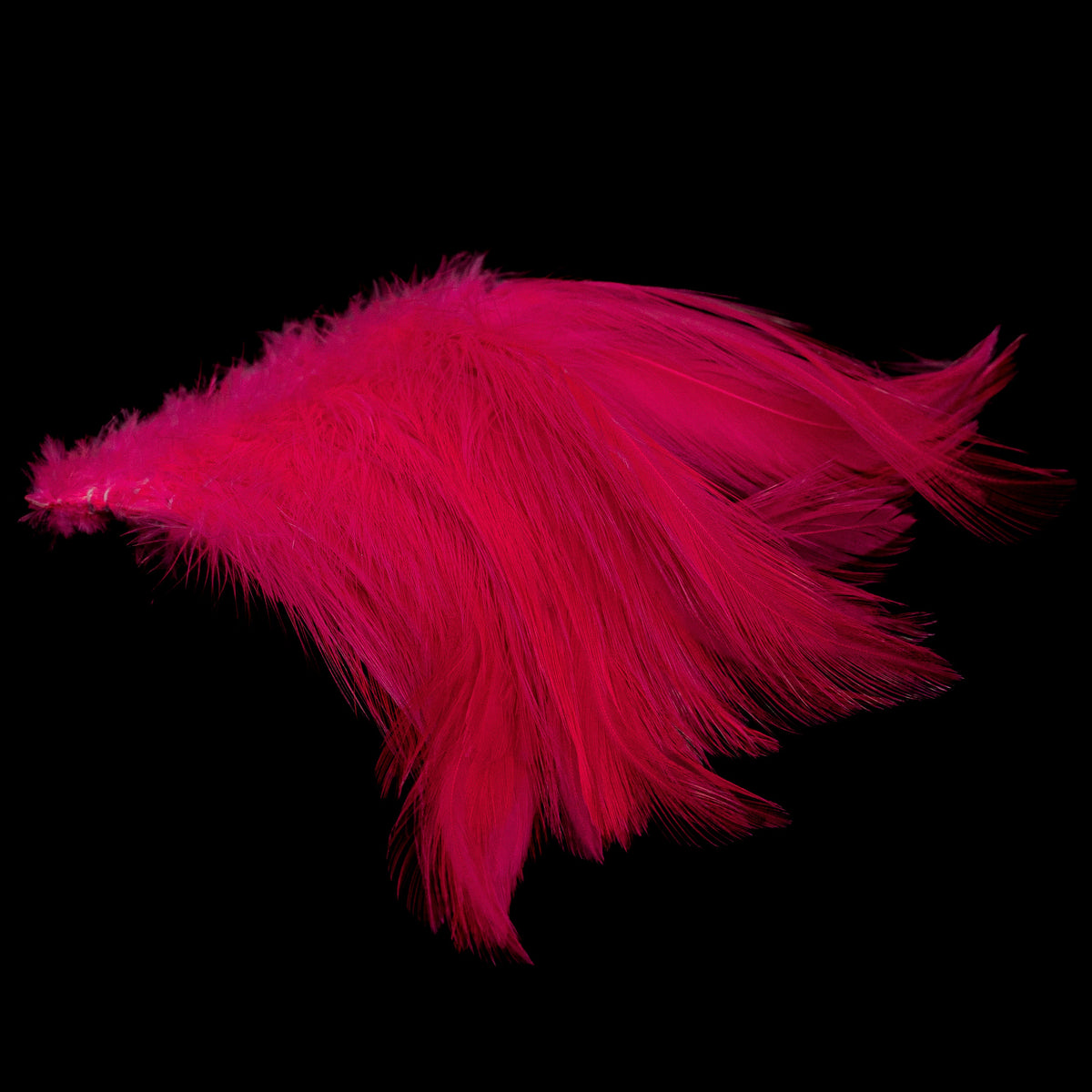 Finatics Premium Strung Hackle – 4" to 4.5"- Finatics Fly Company