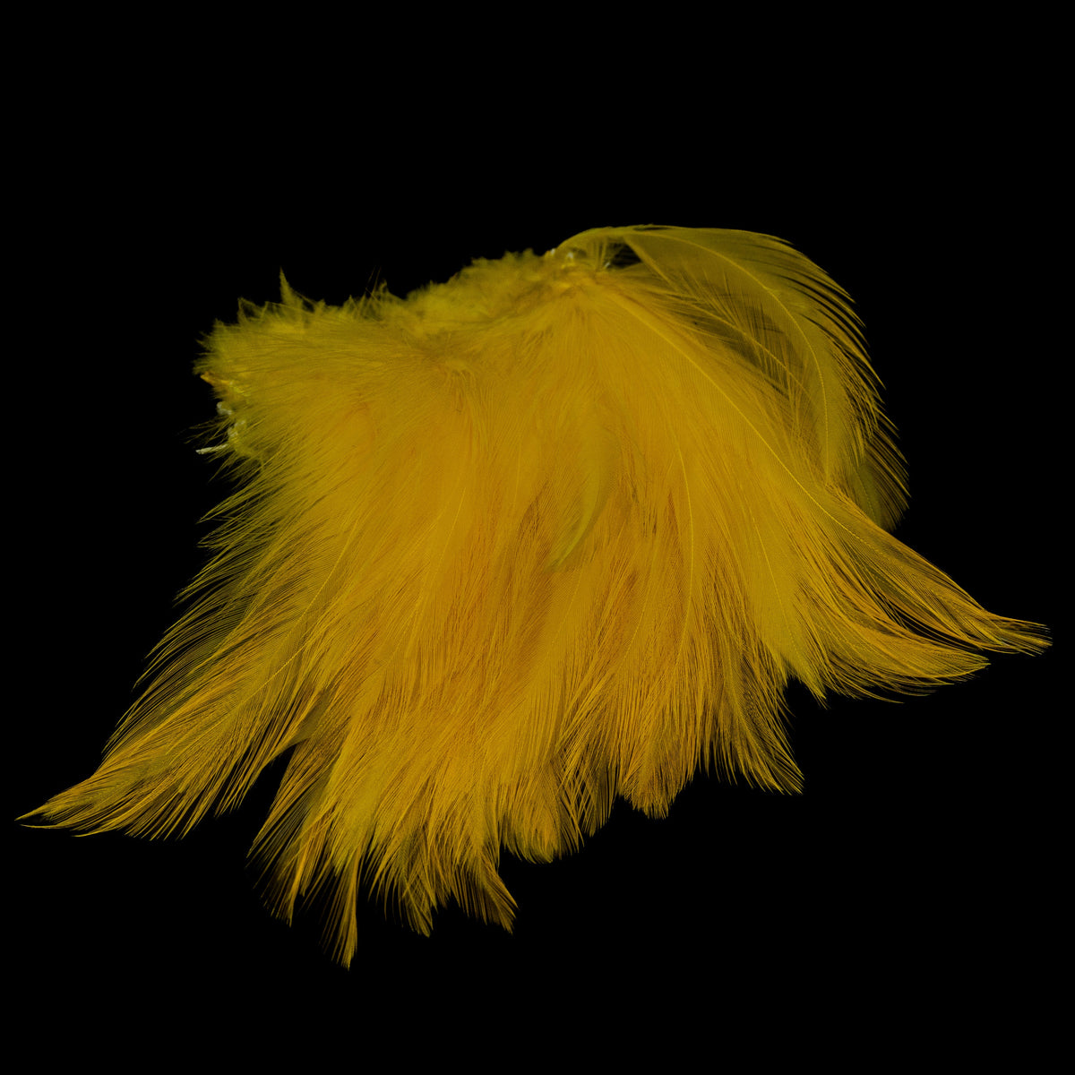 Finatics Premium Strung Hackle – 4" to 4.5"- Finatics Fly Company