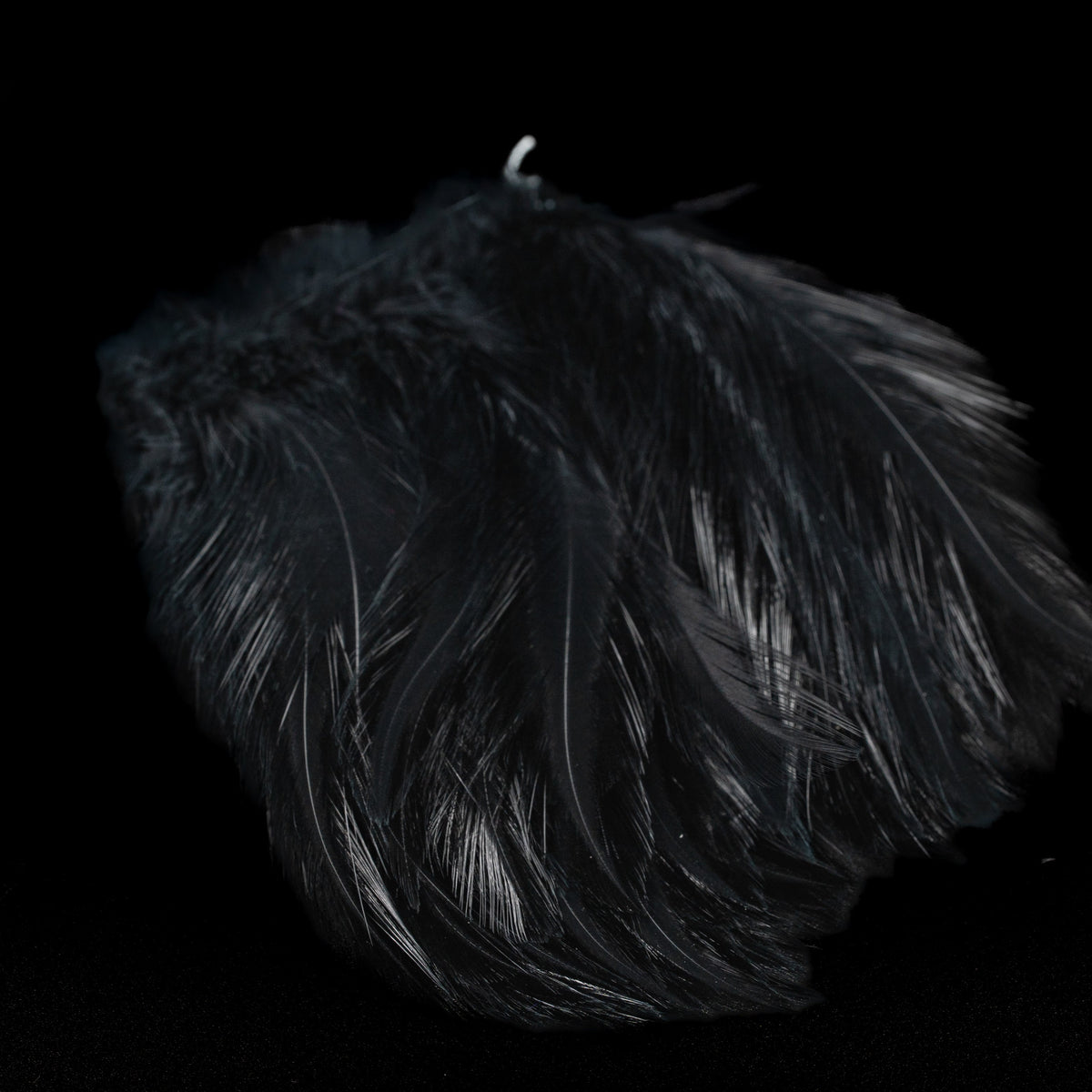 Finatics Premium Strung Hackle – 4" to 4.5"- Finatics Fly Company