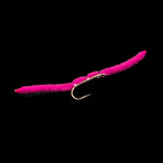 San Juan Worm – FINATICS