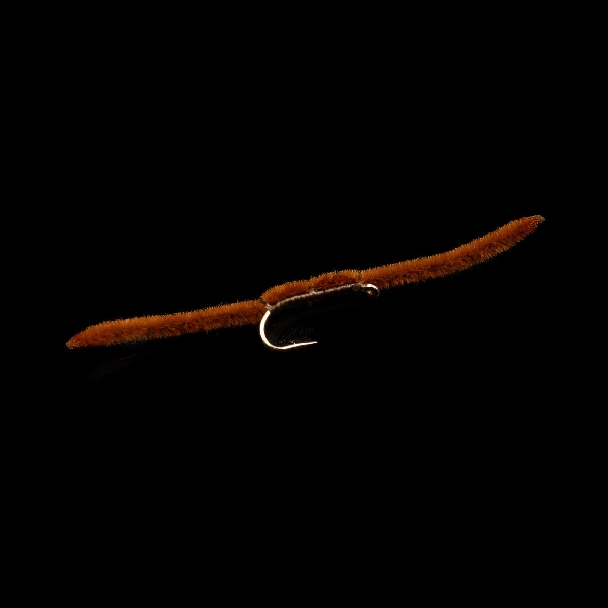 San Juan Worm – FINATICS