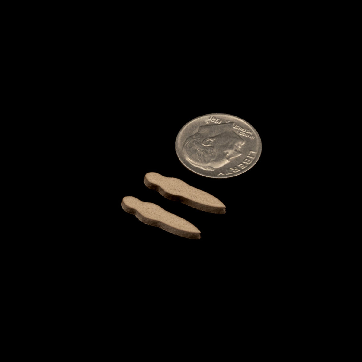 Micro Bug Body – 2mm Foam