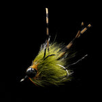 Carp Stew – Carp Fly