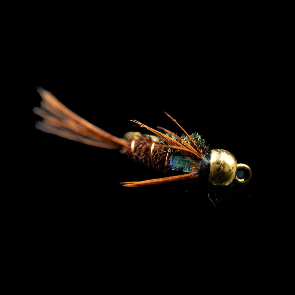 Flashback Pheasant Tail (Bead Head) – FINATICS