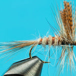 Eastern March Brown