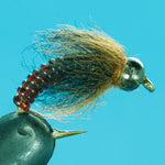 Euro Caddis - Tungsten