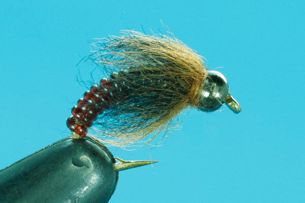 Euro Caddis - Tungsten
