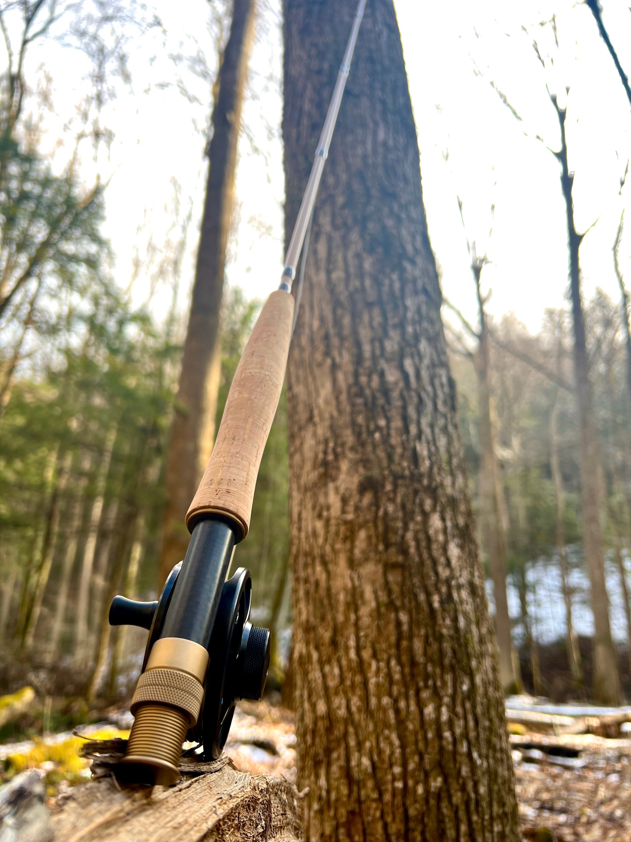 Risen WLR Fly Rod