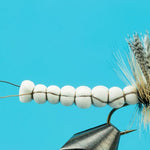 Fan Wing Coffin Fly