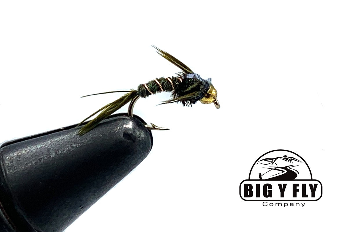 Flashback Pheasant Tail Curved Hook-Beadhead