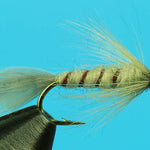 Flymph PMD