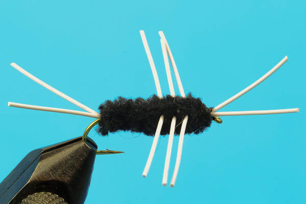 Girdle Bug