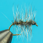 Griffith Gnat