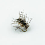 Griffith’s Gnat