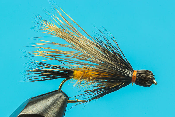 Henry's Fork Salmonfly