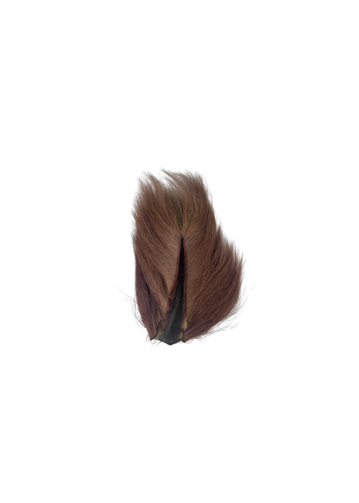 Appalachian Bucktail - AA