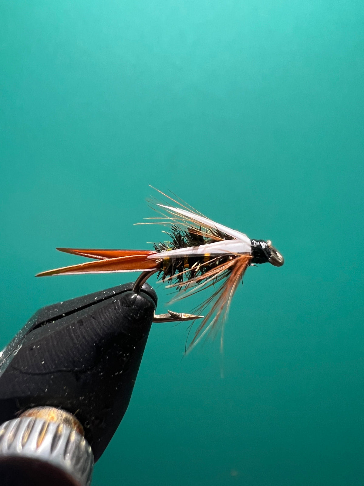 Prince Nymph