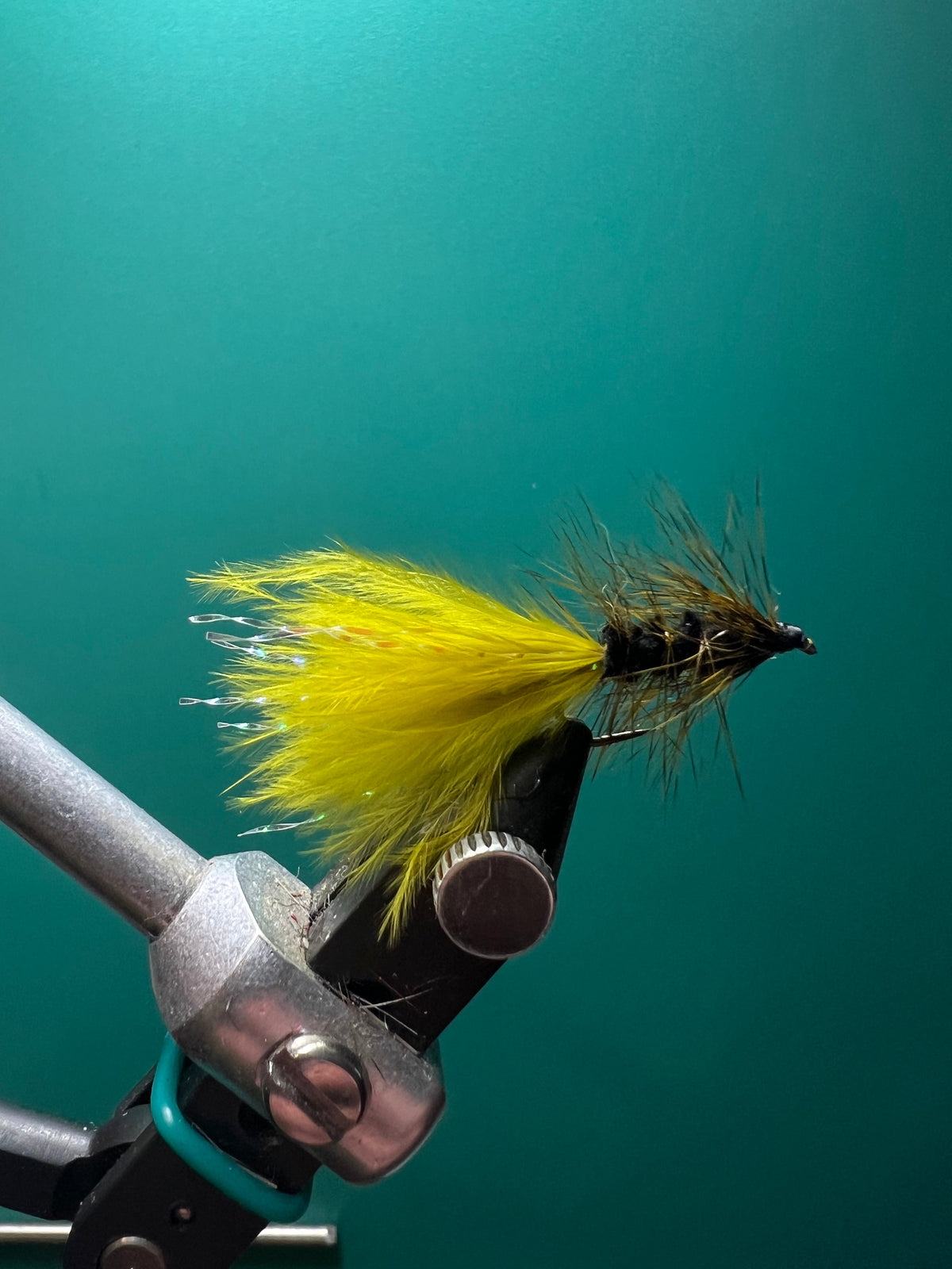 Woolly Bugger - Olive and Black