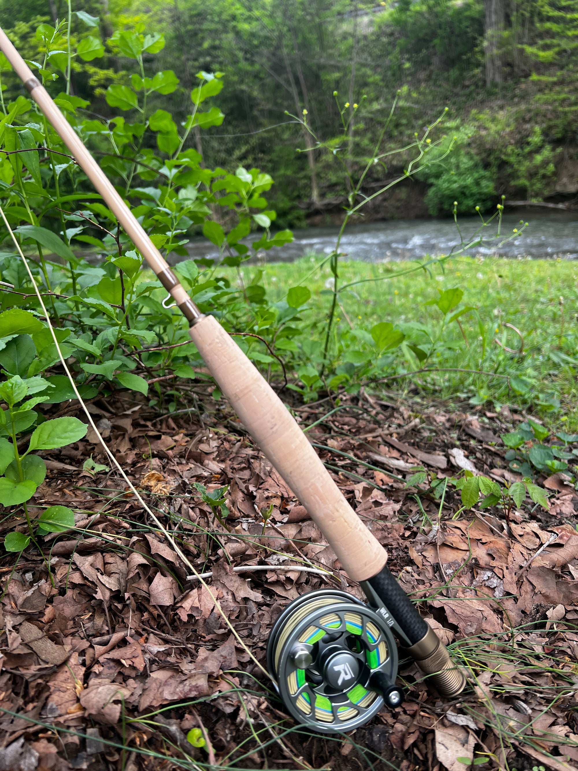 Risen WLR Rod & Reel Combo