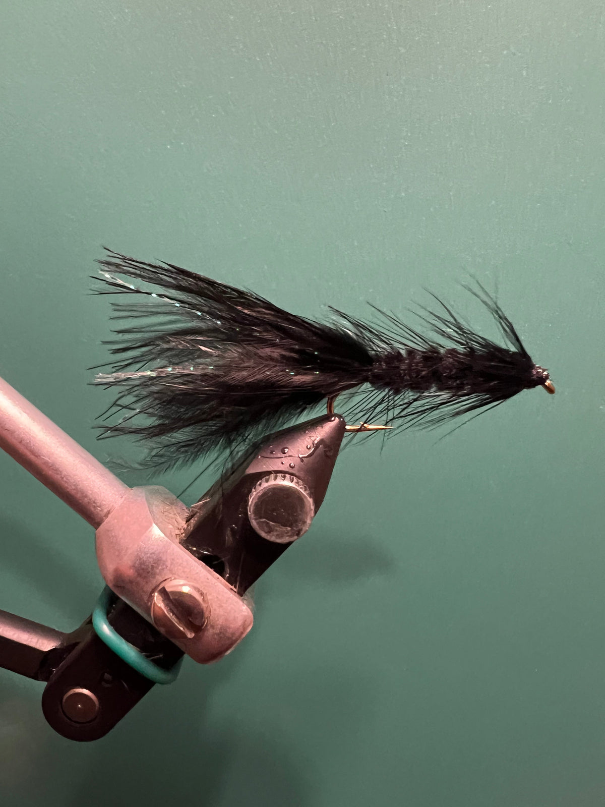 Woolly Bugger