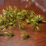 Hatching Pupa Olive