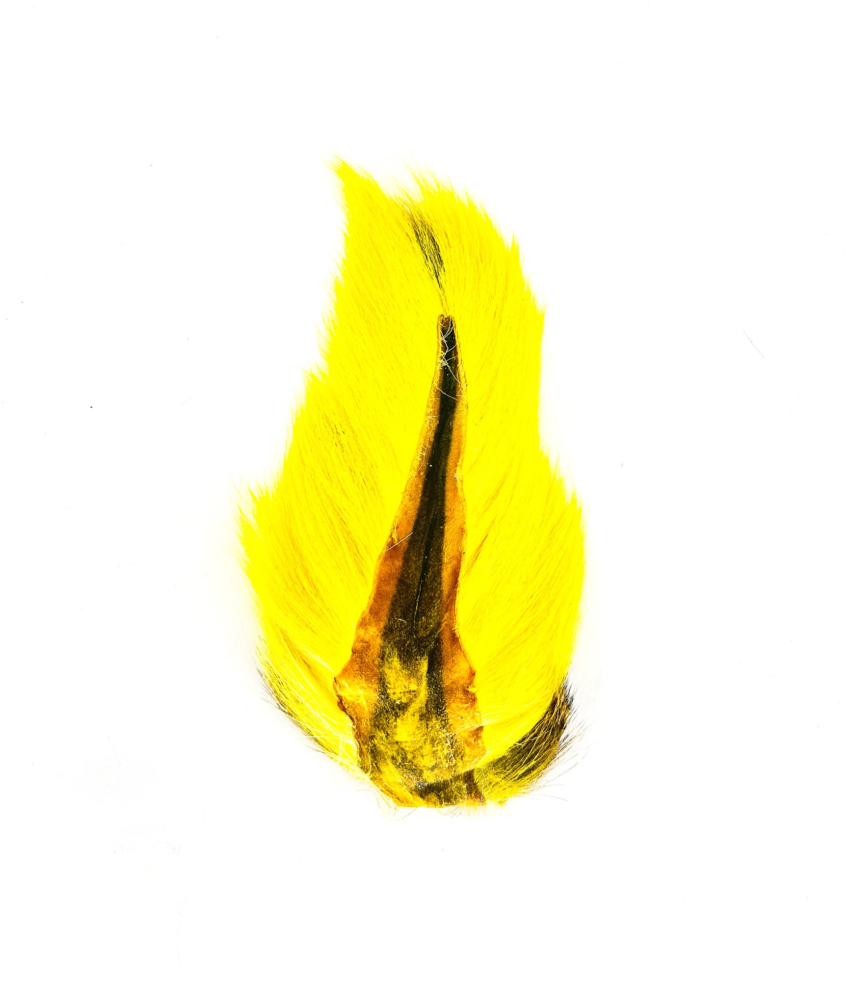 Appalachian Bucktail