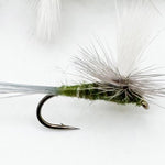 Parachute BWO