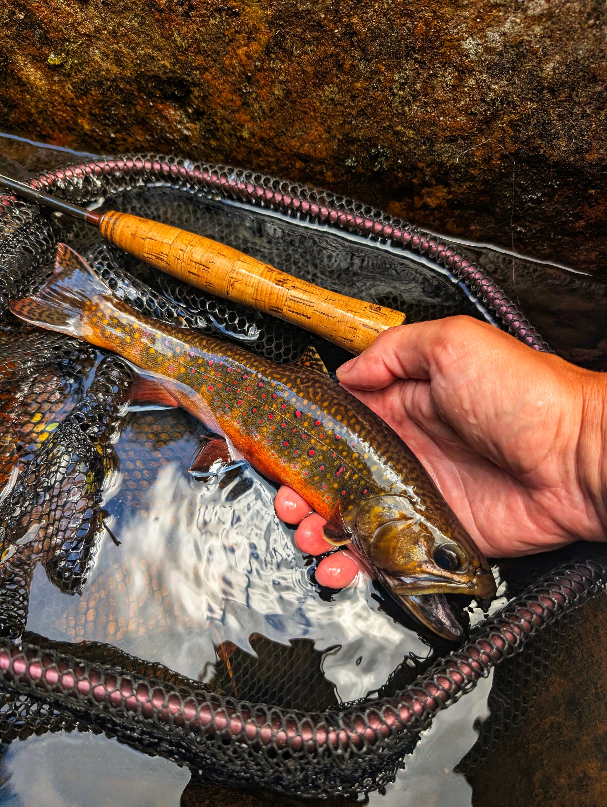 Native Bow Net