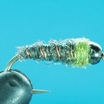 Iced Cased Caddis - Tungsten