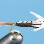 Isonychia Drake Nymph